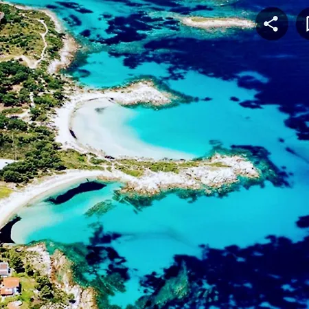 το σπιτάκι η ελιά *