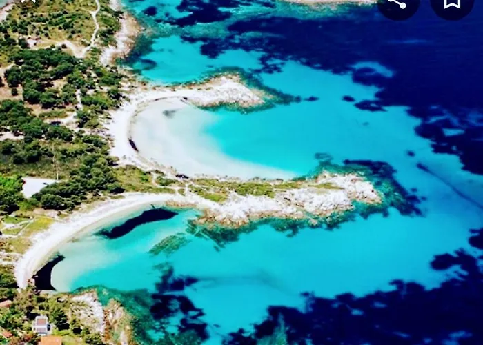 το σπιτάκι η ελιά *