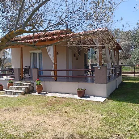 το σπιτάκι η ελιά Σπίτι διακοπών